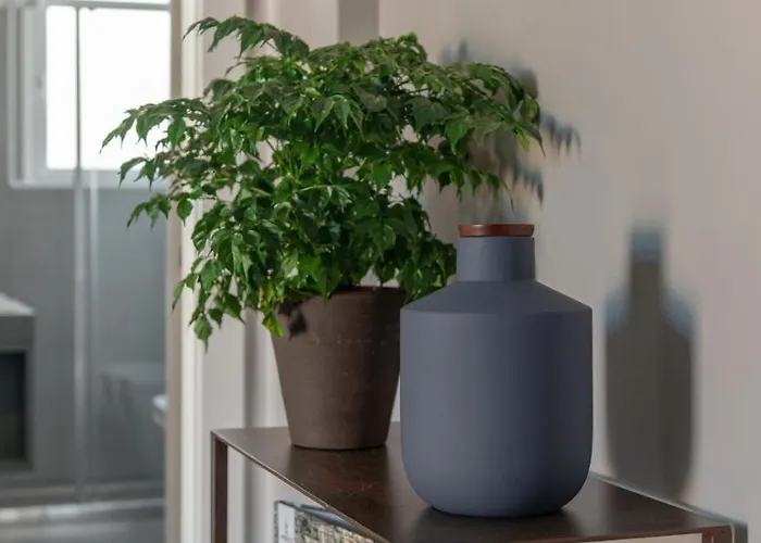 Yourelais Pergolesi * 나폴리