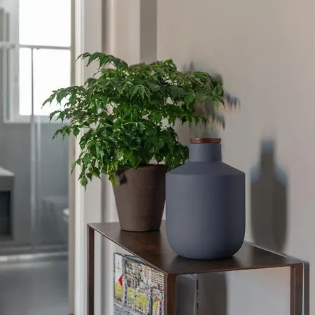 Yourelais Pergolesi * 那不勒斯